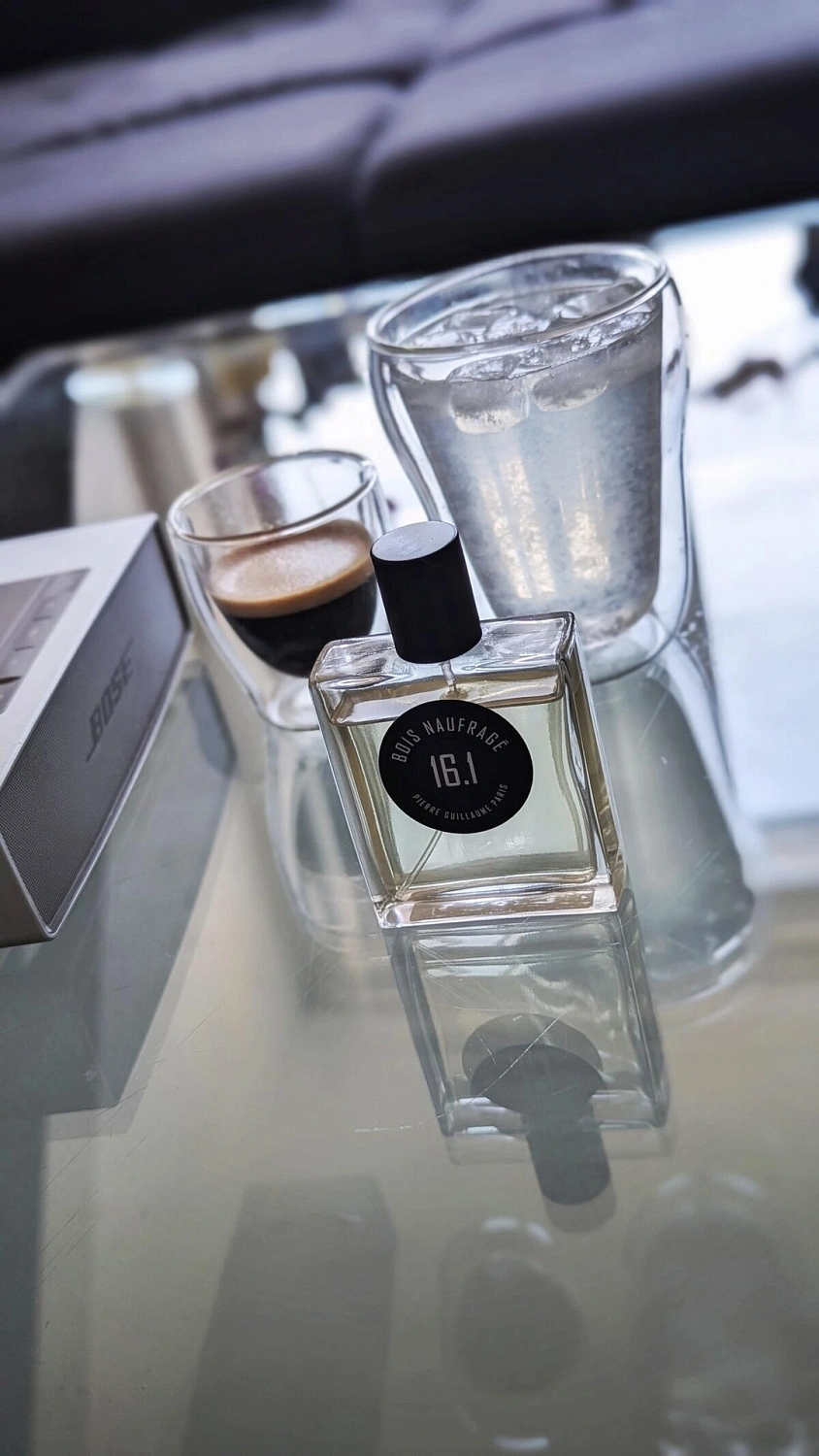 Pierre Guillaume Bois Naufrage 16.1