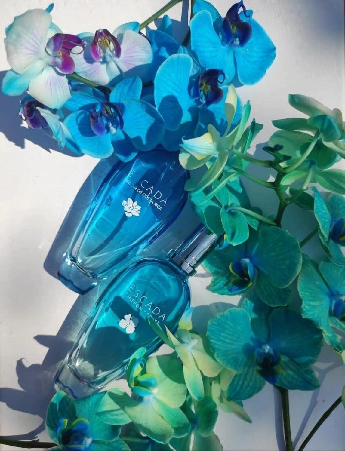 Escada Nectar de Costa Rica