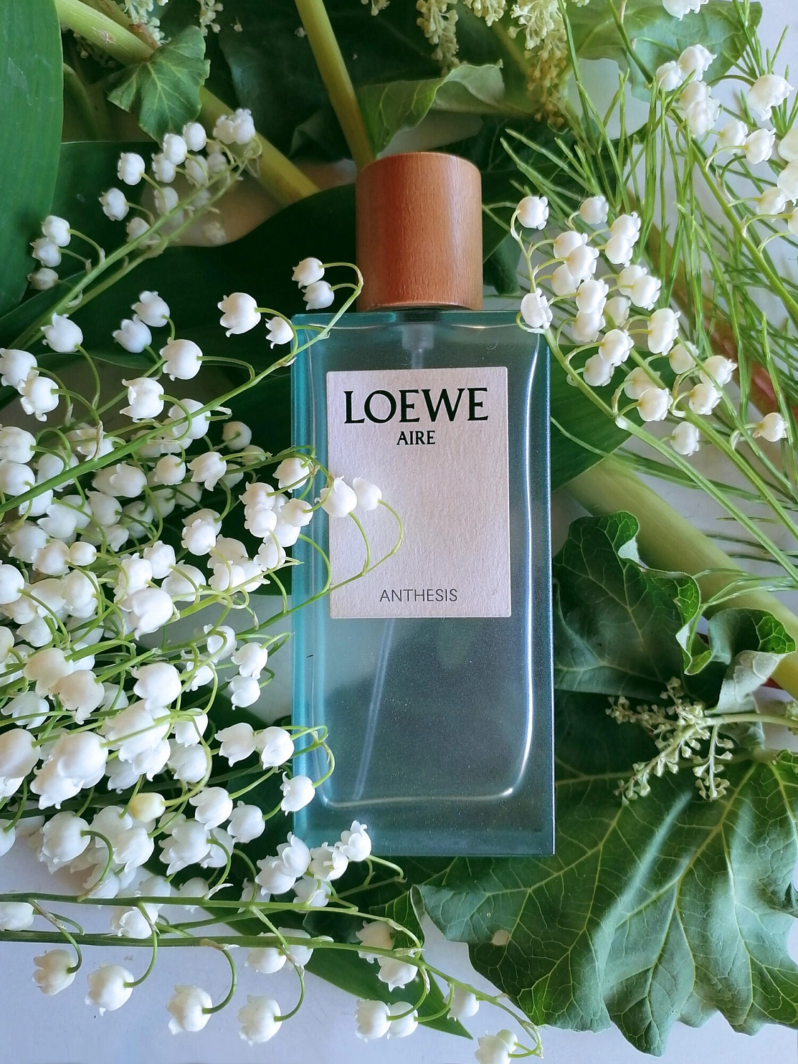Loewe Aire Anthesis