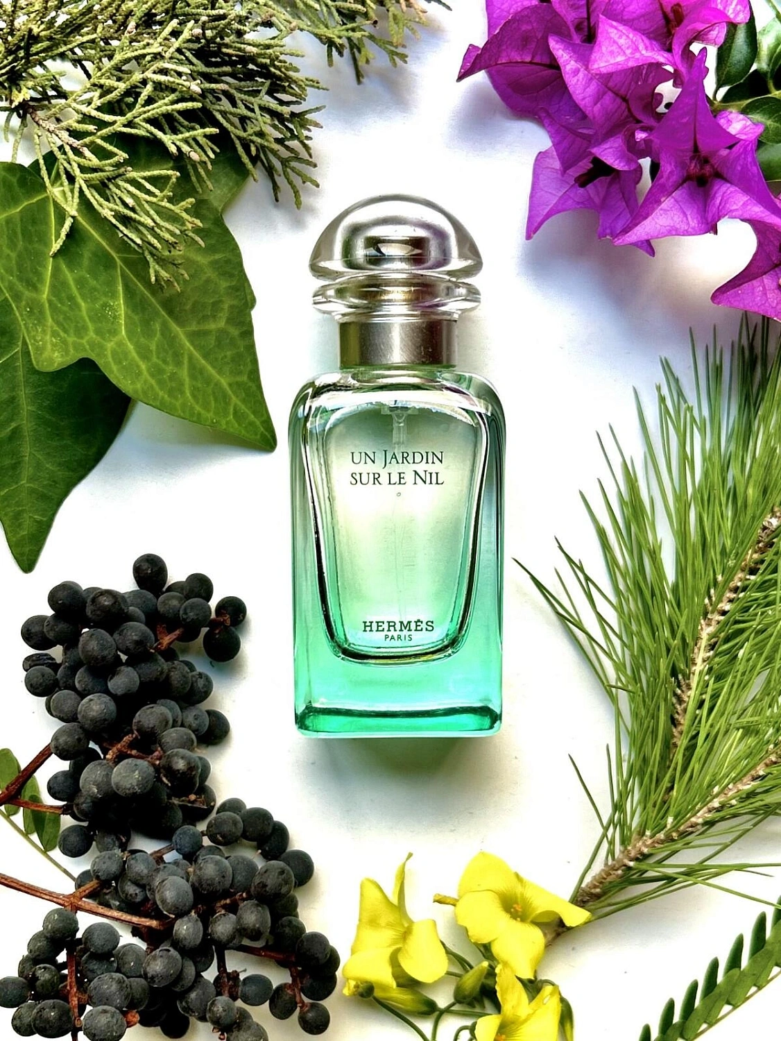 Hermes Un Jardin sur le Nil