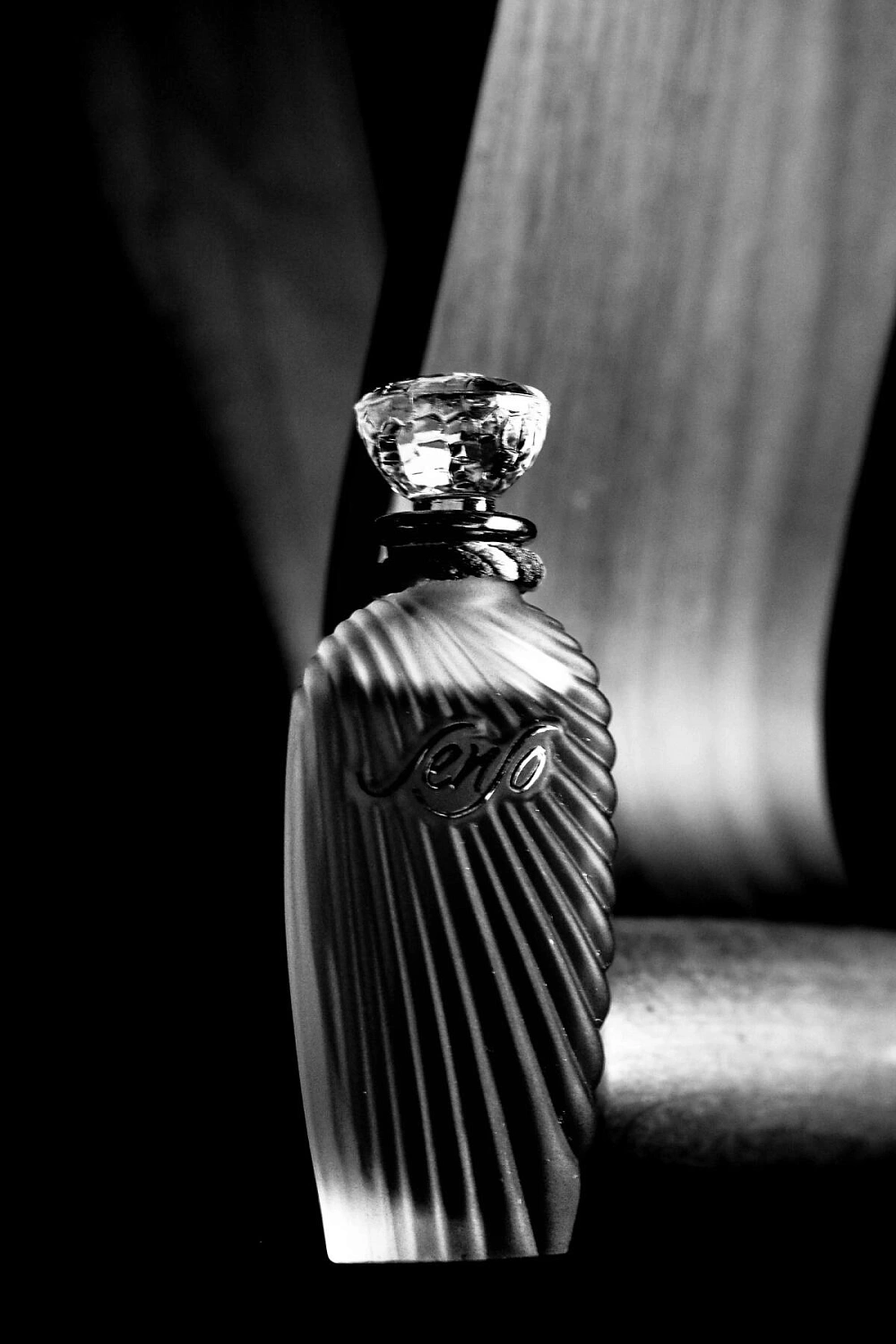 Emanuel Ungaro Senso