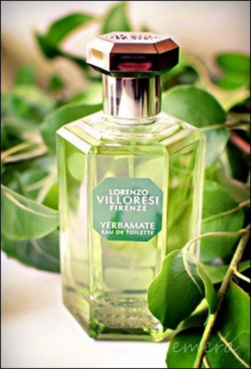 Lorenzo Villoresi Yerbamate