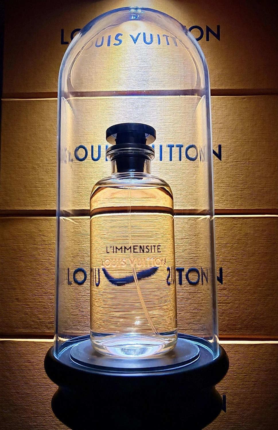 Louis Vuitton L'Immensité