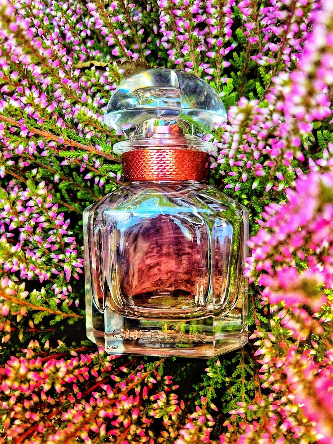 Mon Guerlain Eau de Parfum Intense