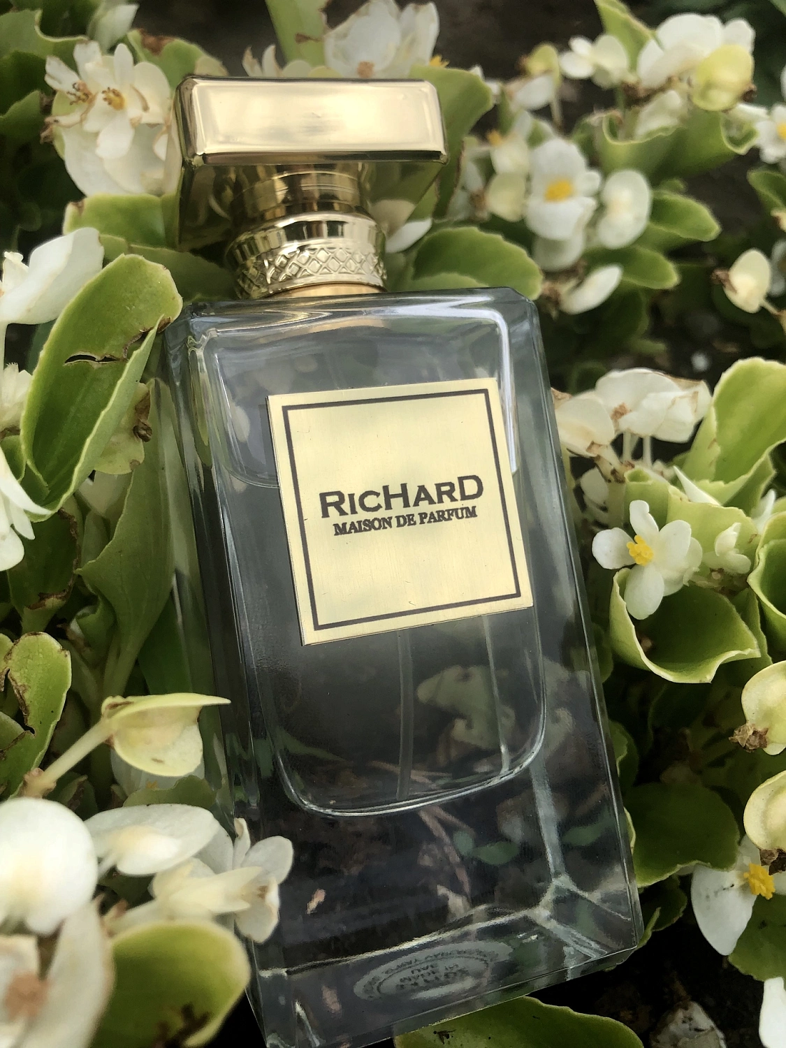 Richard Women Richard Women
