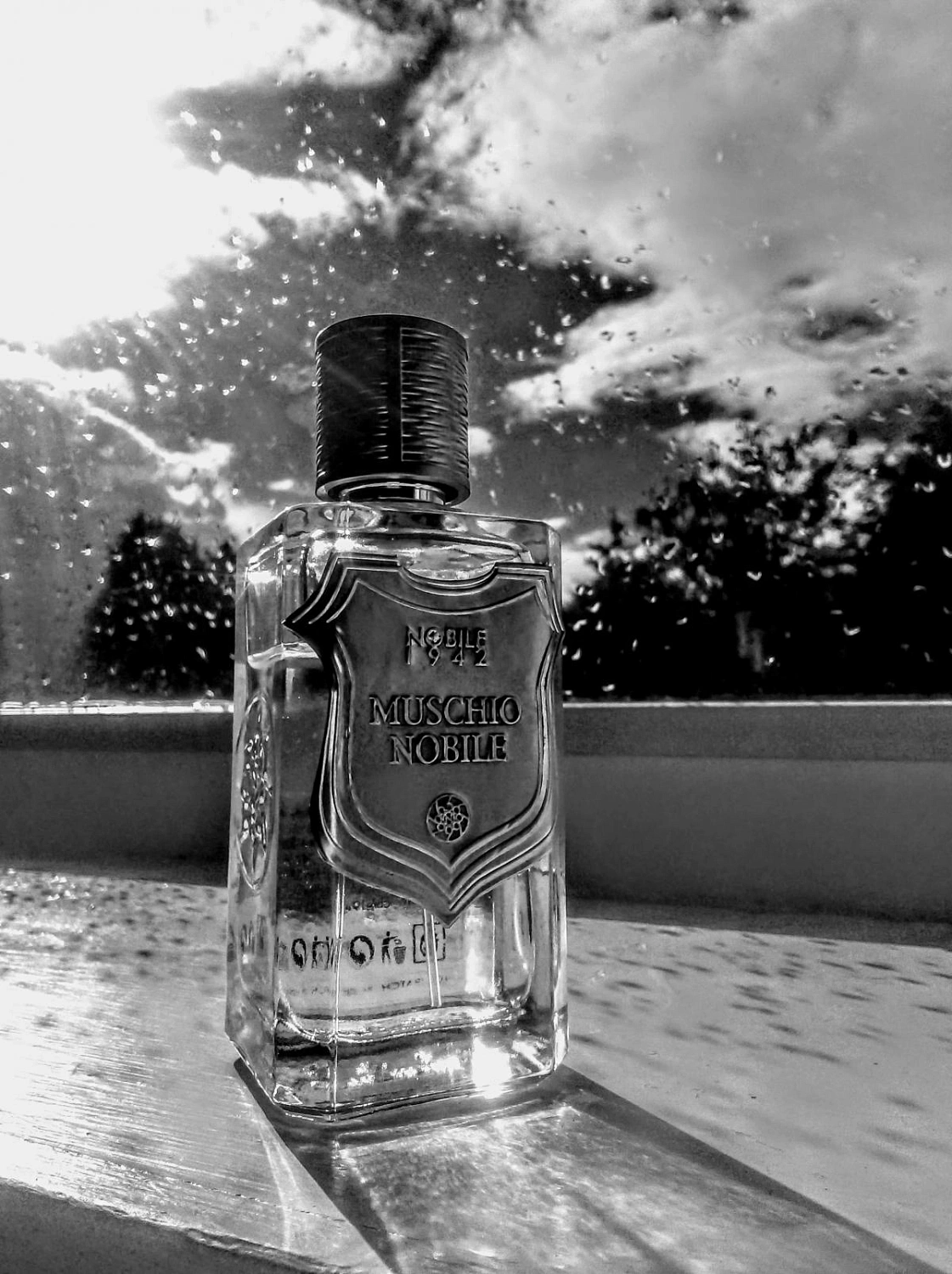 Nobile 1942 Muschio Nobile