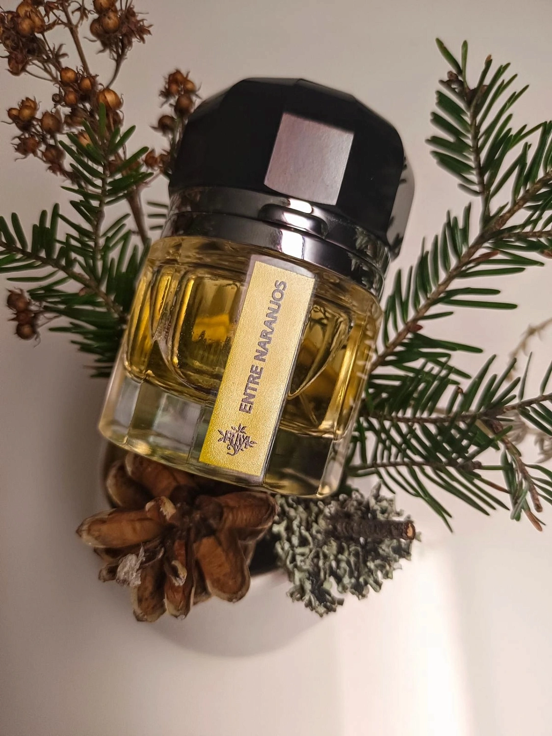 Ramon Monegal Entre Naranjos