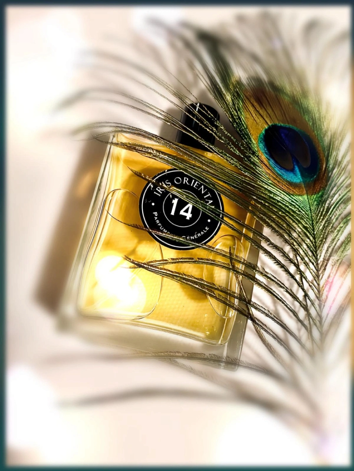 Pierre Guillaume Iris Oriental 14 Pierre Guillaume Iris Oriental 14