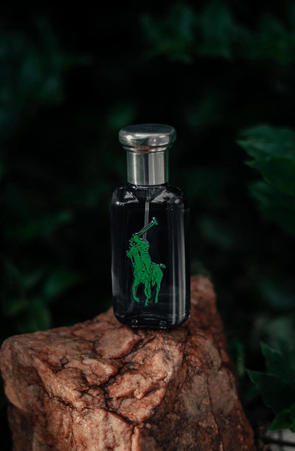 Ralph Lauren The Big Pony Collection 1