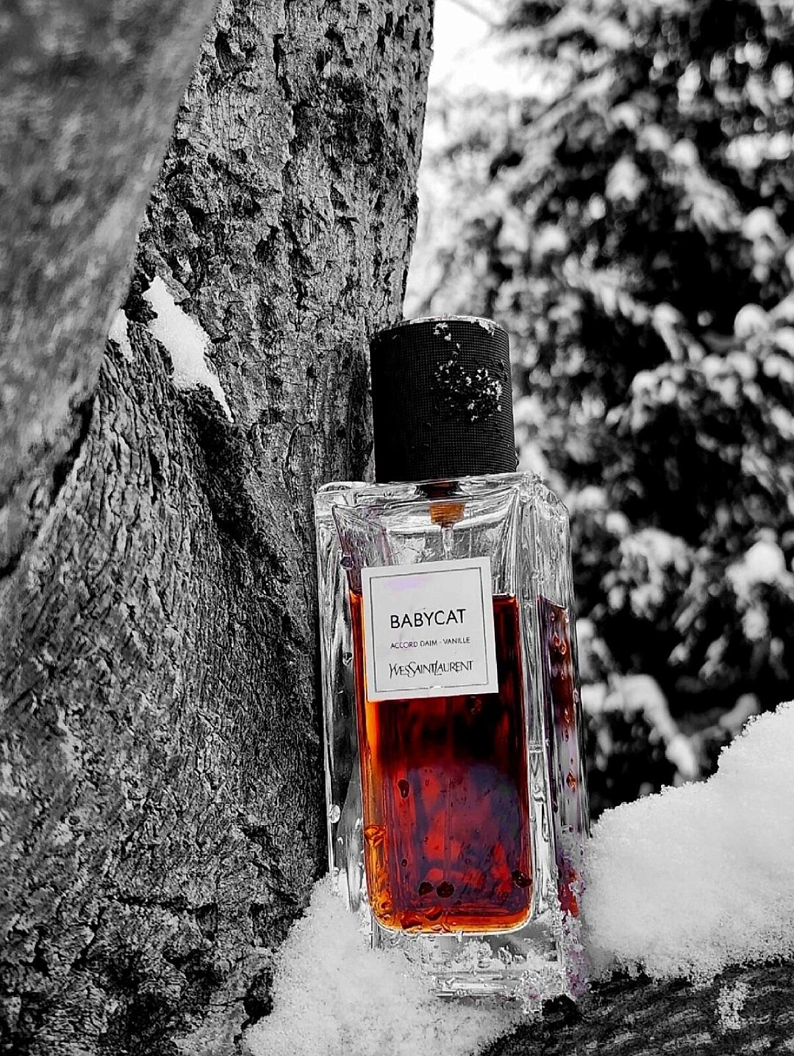 Yves Saint Laurent Babycat