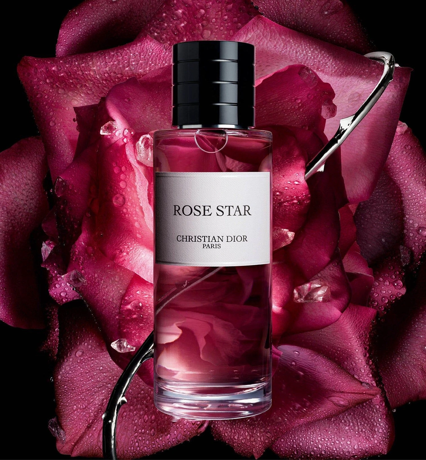 Christian Dior Rose Star Christian Dior Rose Star