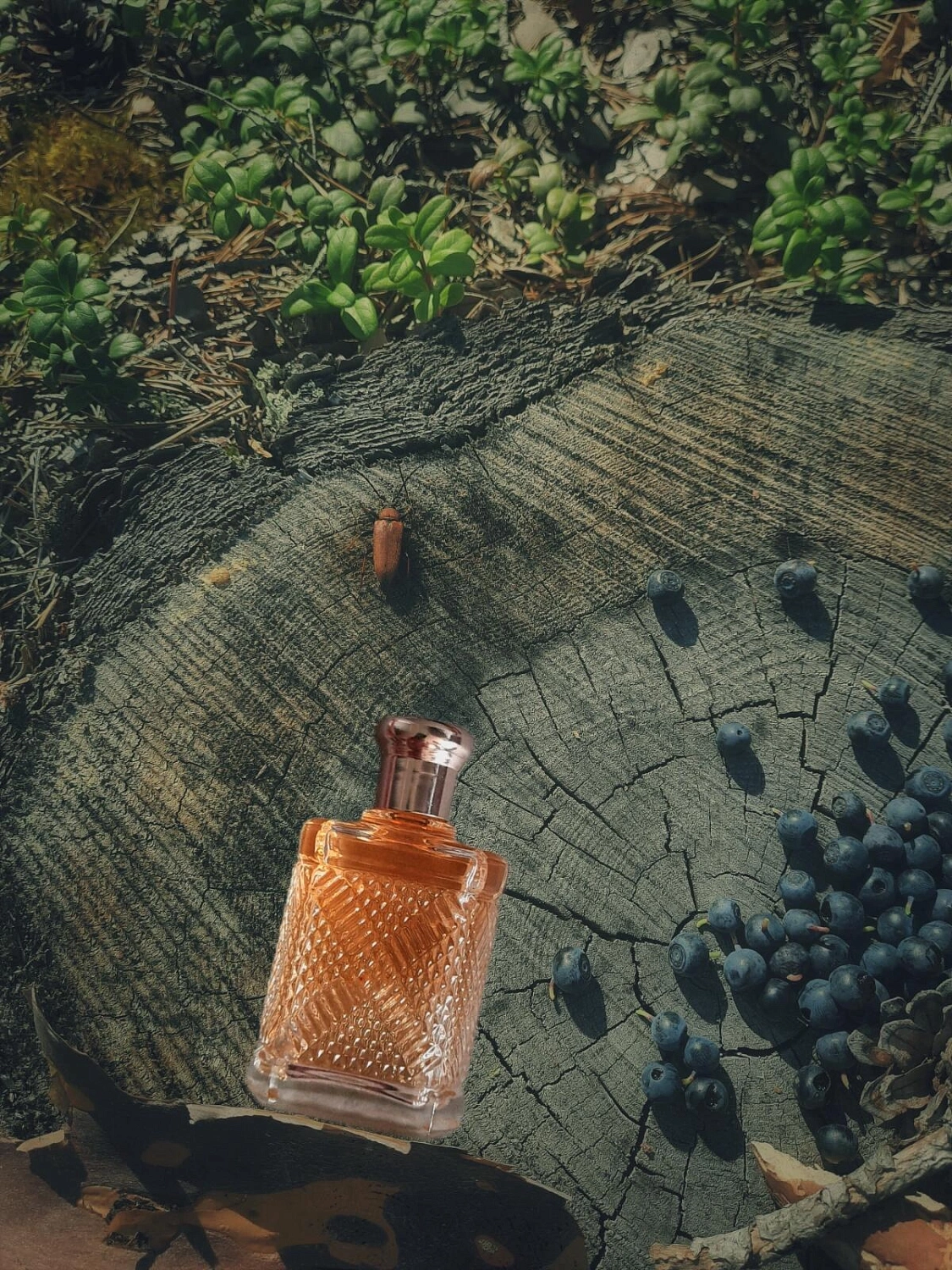 Ralph Lauren Safari for Men Ralph Lauren Safari for Men
