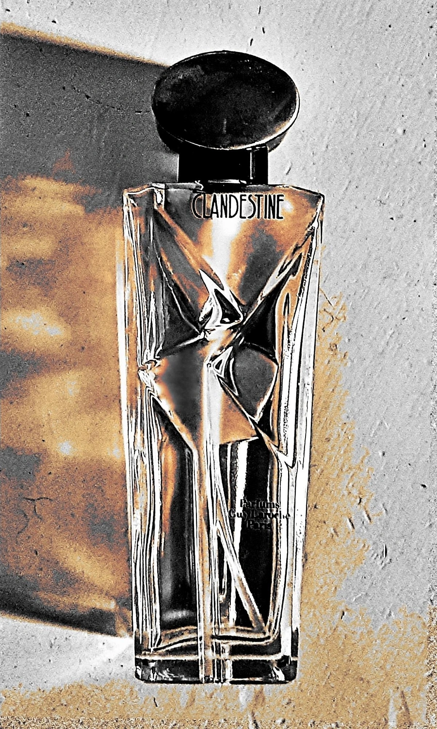 Guy Laroche Clandestine Guy Laroche Clandestine