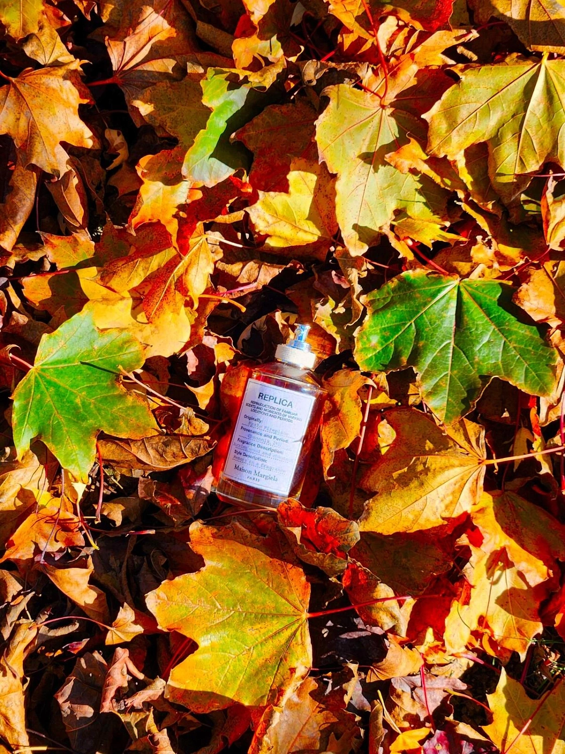 Maison Margiela By the Fireplace