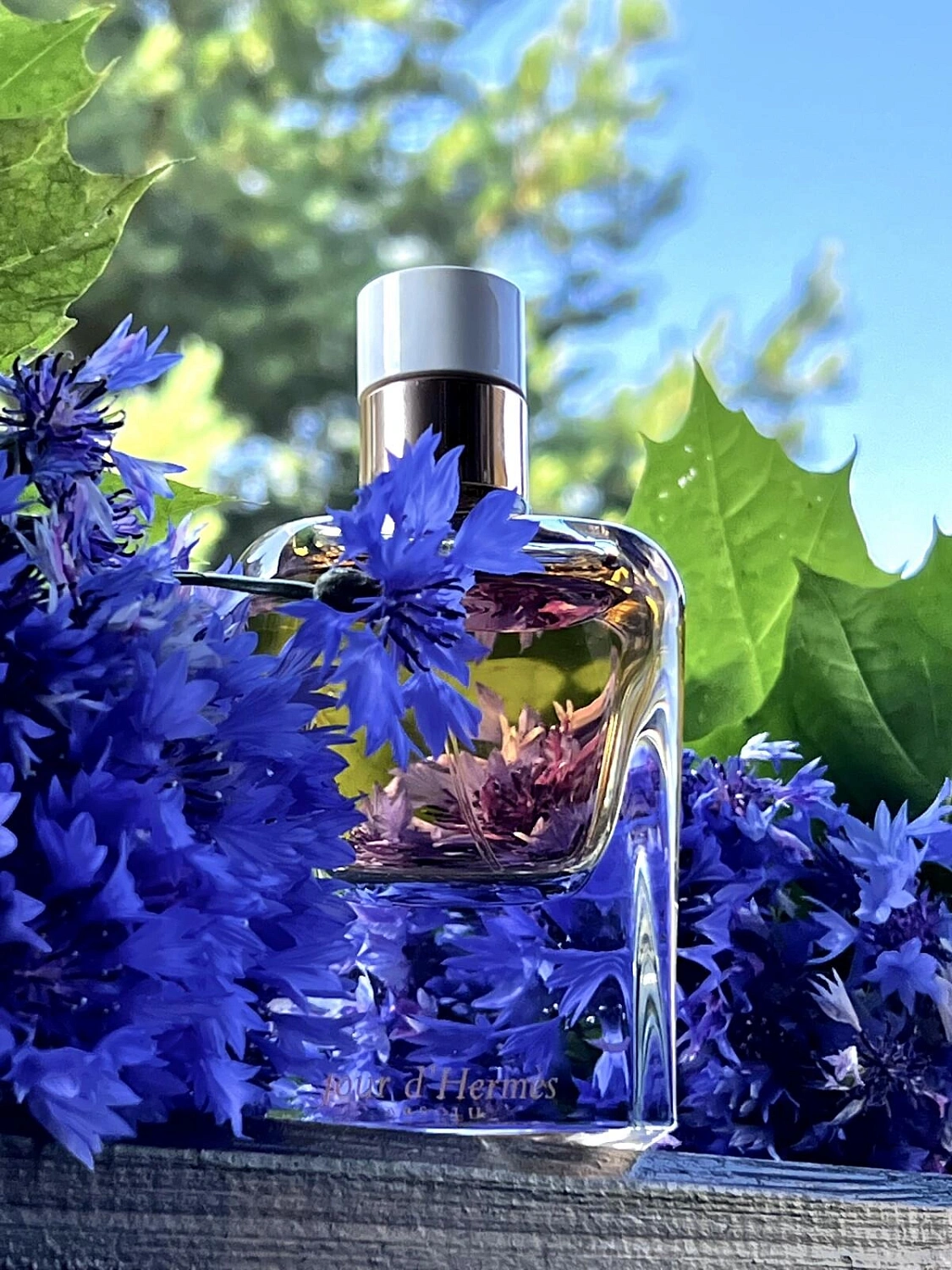 Jour d’Hermes Absolu