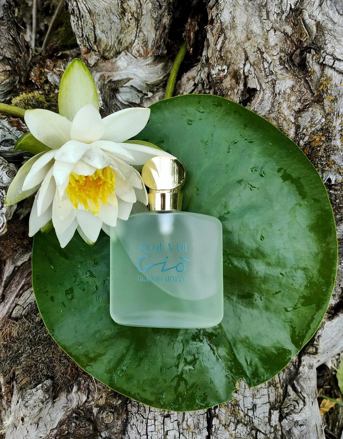ARMANI Acqua di Gio ARMANI Acqua di Gio