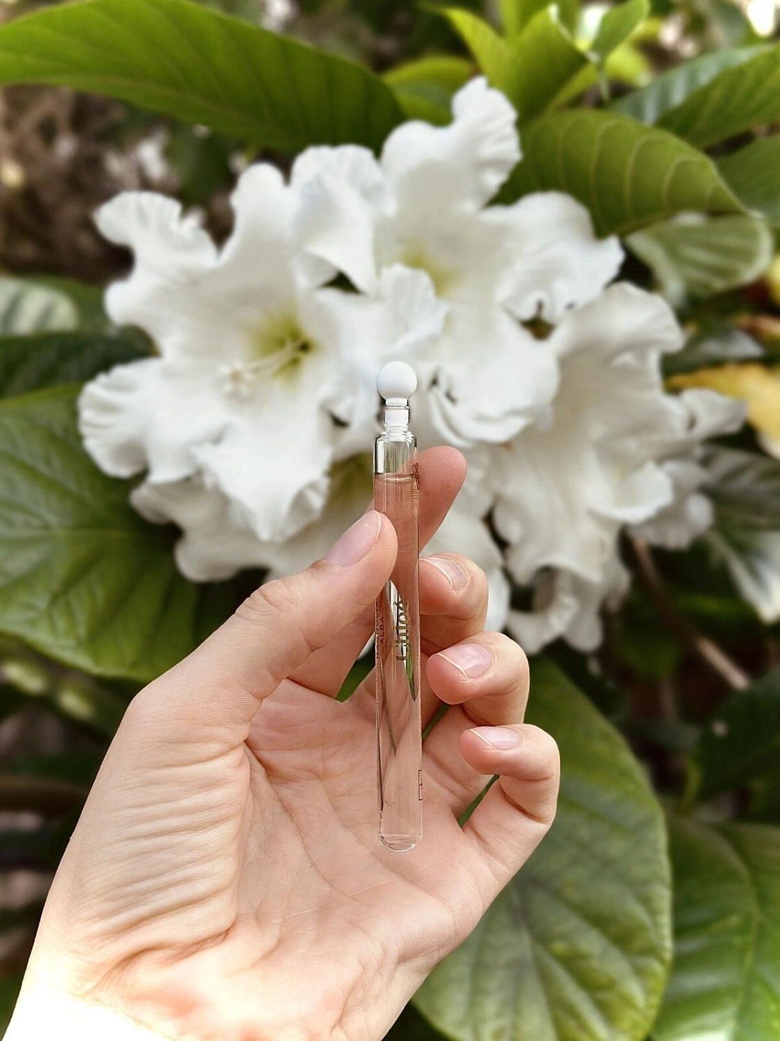 Chloe Atelier Des Fleurs Magnolia Alba