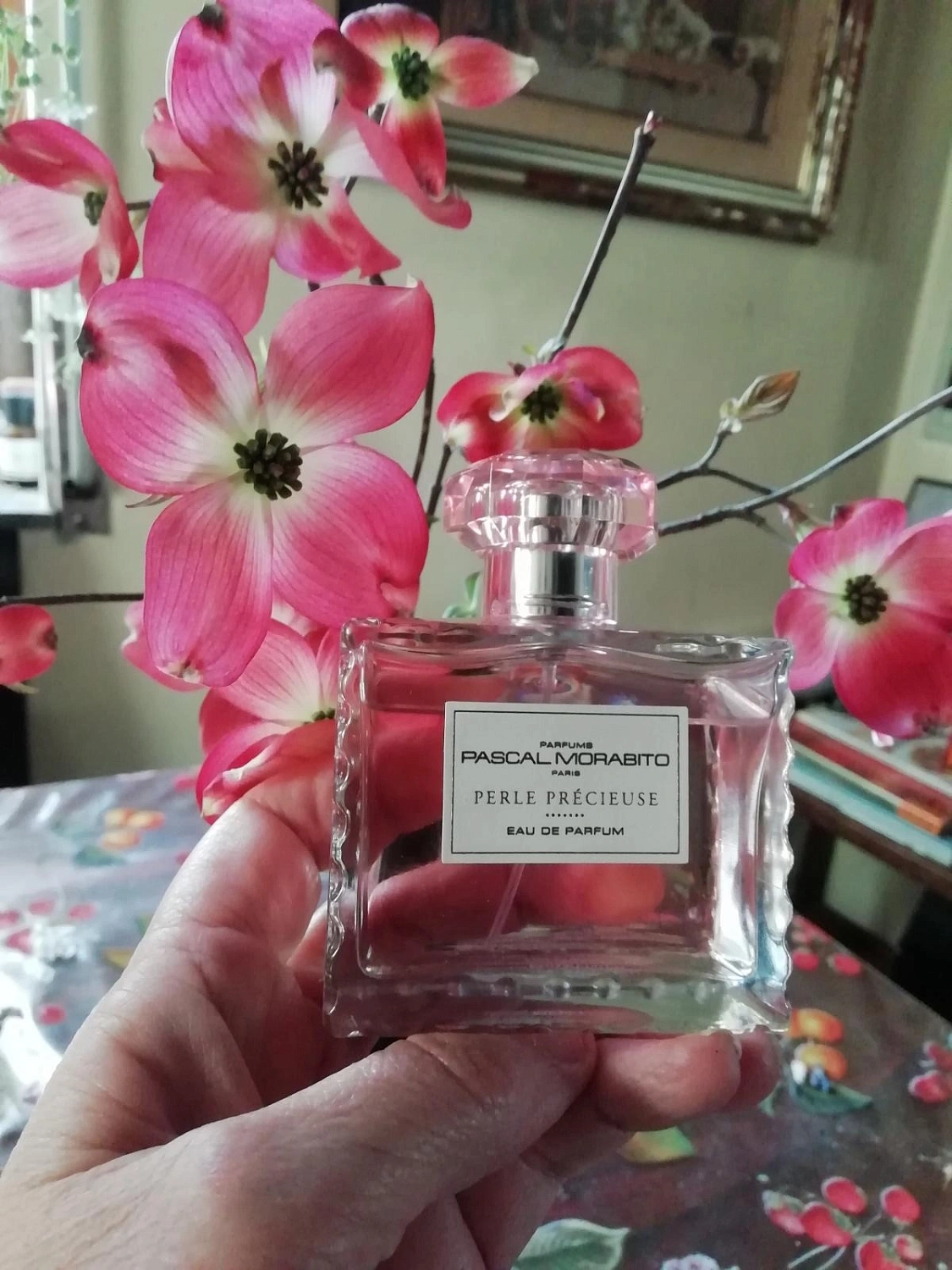 Pascal Morabito Perle Precieuse