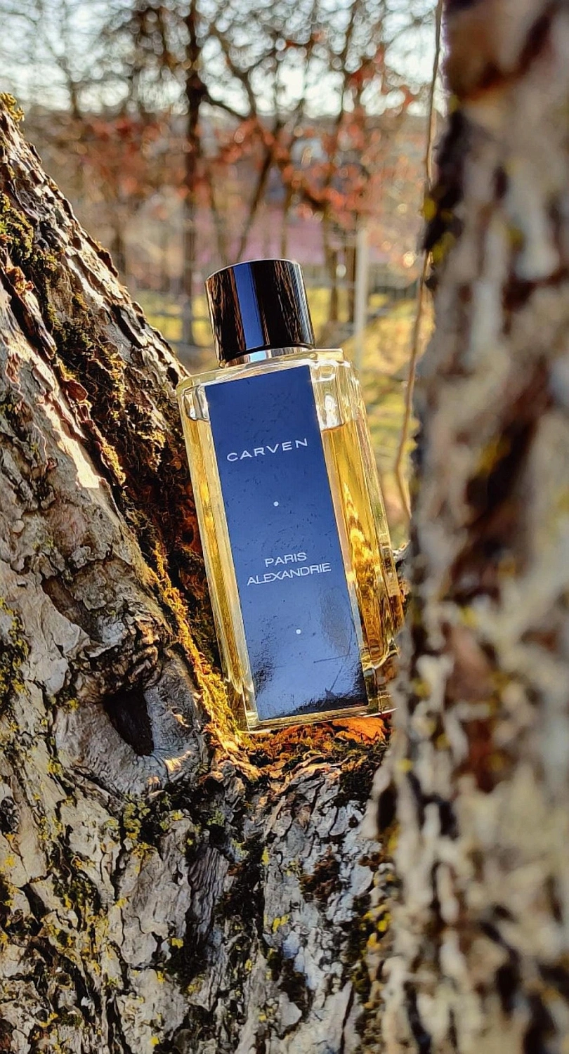 Carven Paris Alexandrie