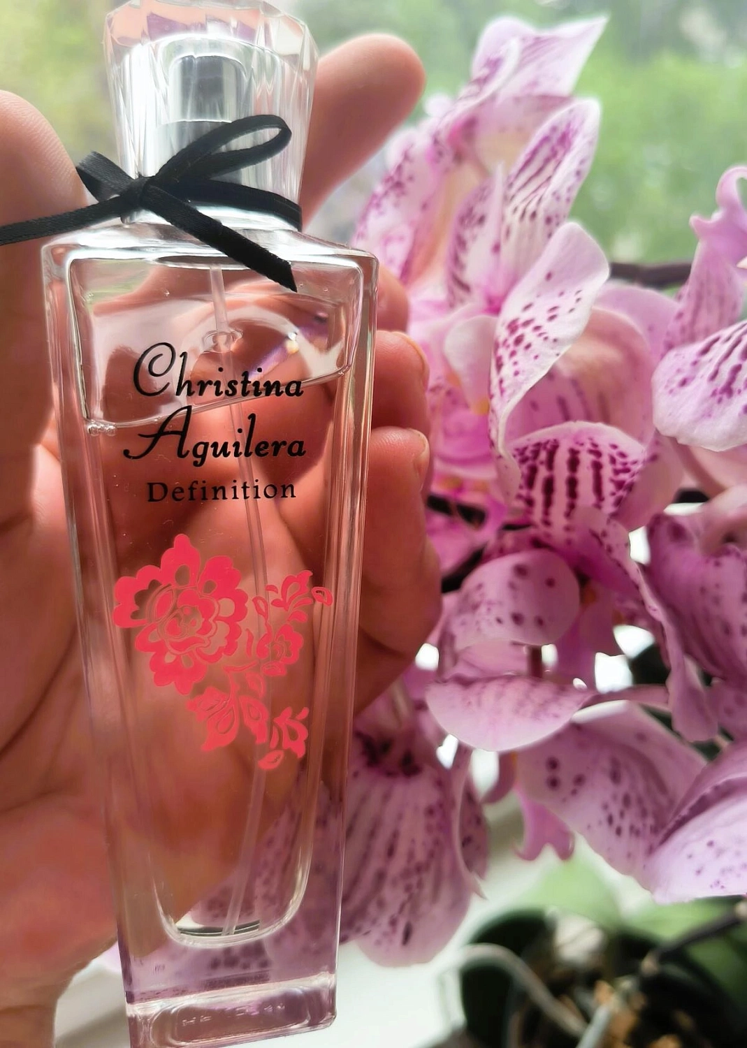 Christina Aguilera Definition