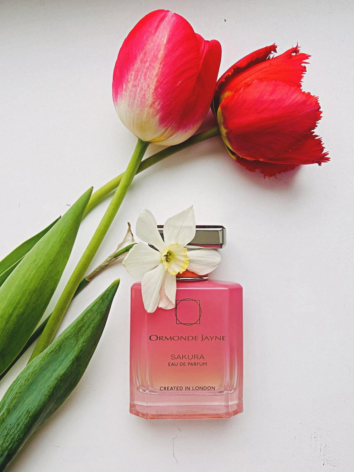 Ormonde Jayne Sakura