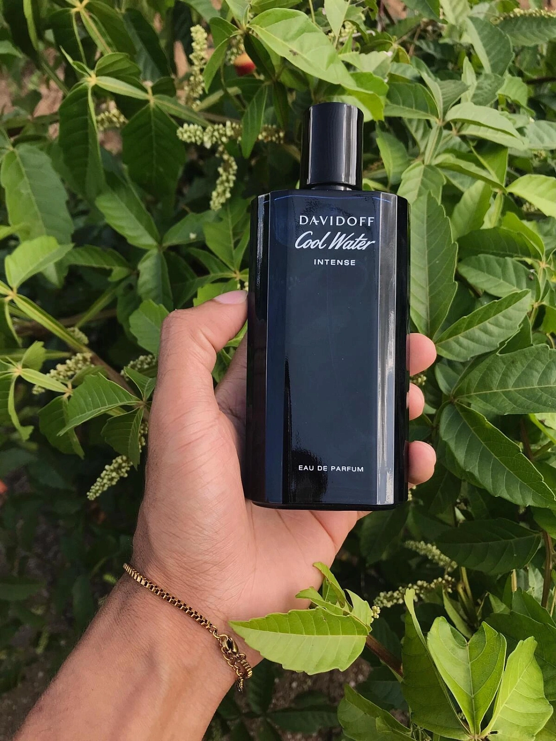 Davidoff Cool Water Intense Davidoff Cool Water Intense