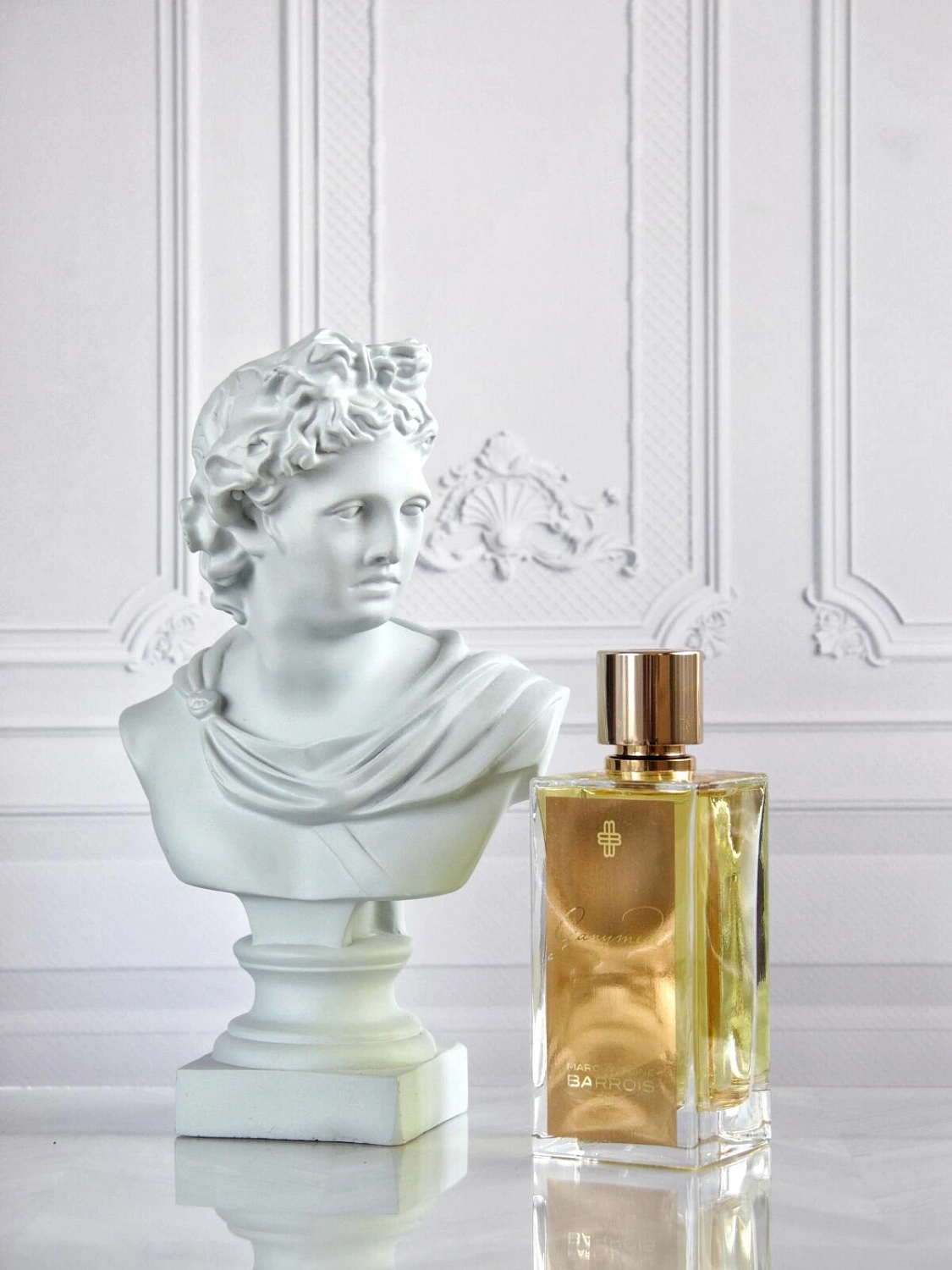 Marc-Antoine Barrois Ganymede