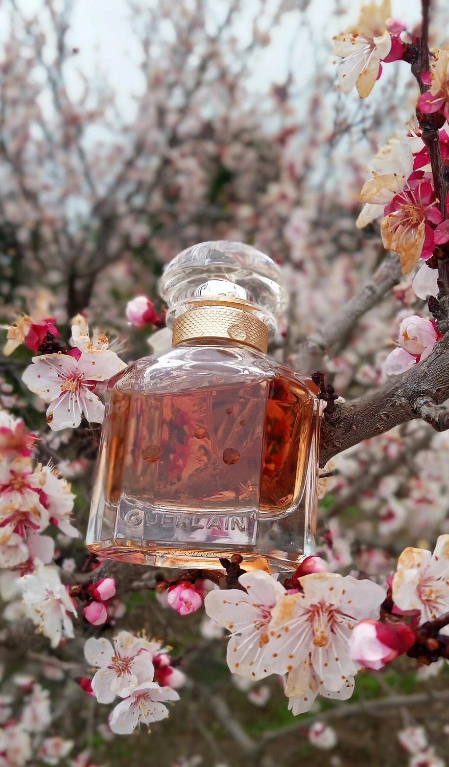 Mon Guerlain Prestige Edition