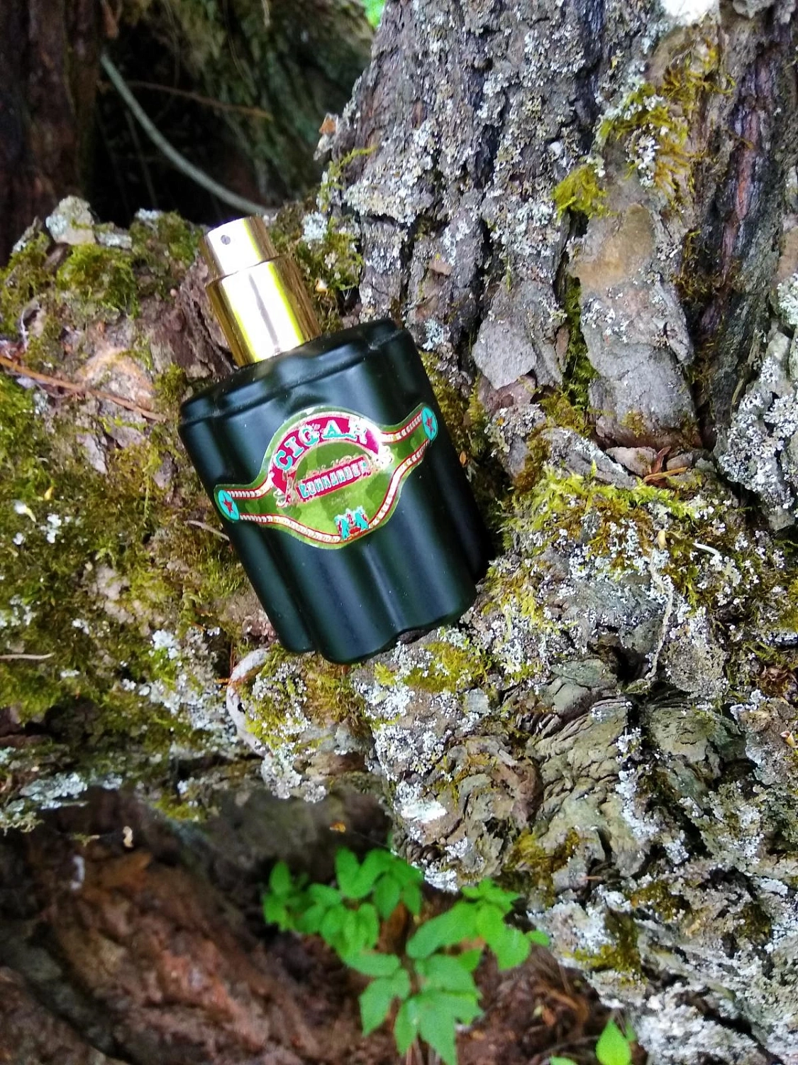Remy Latour Cigar Commander Remy Latour Cigar Commander