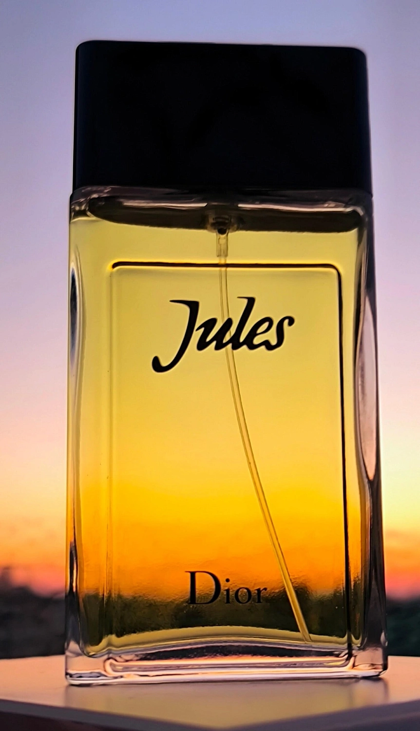Christian Dior Jules (2016)