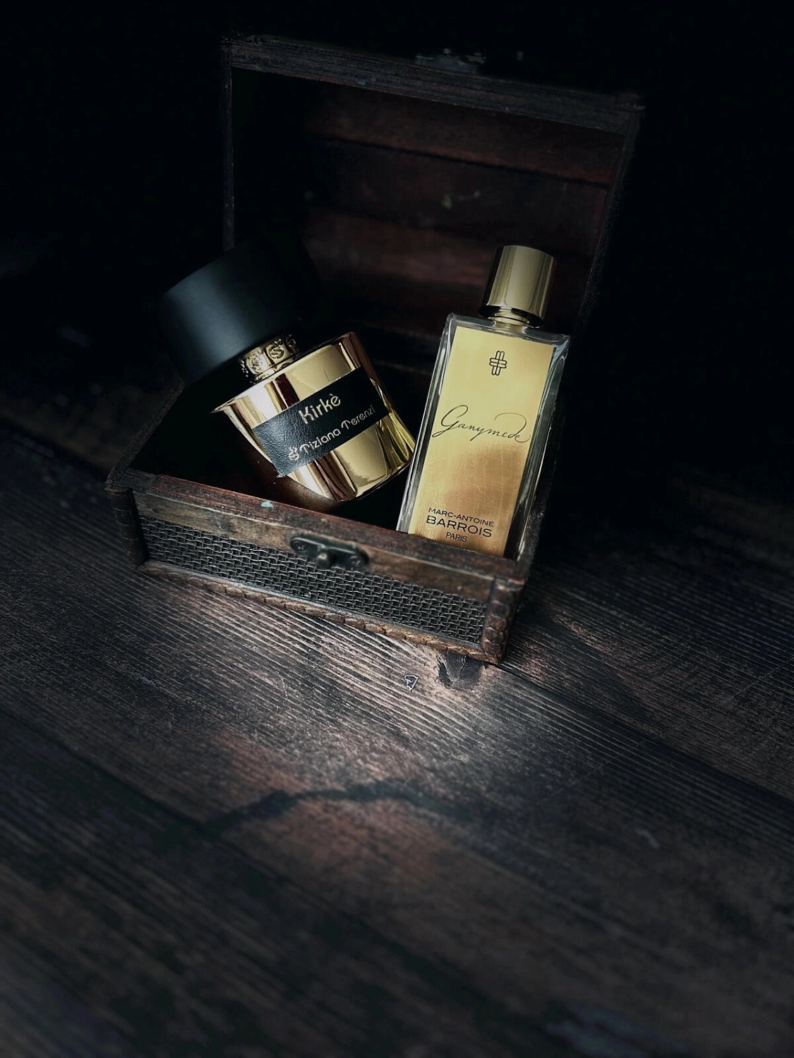 Marc-Antoine Barrois Ganymede