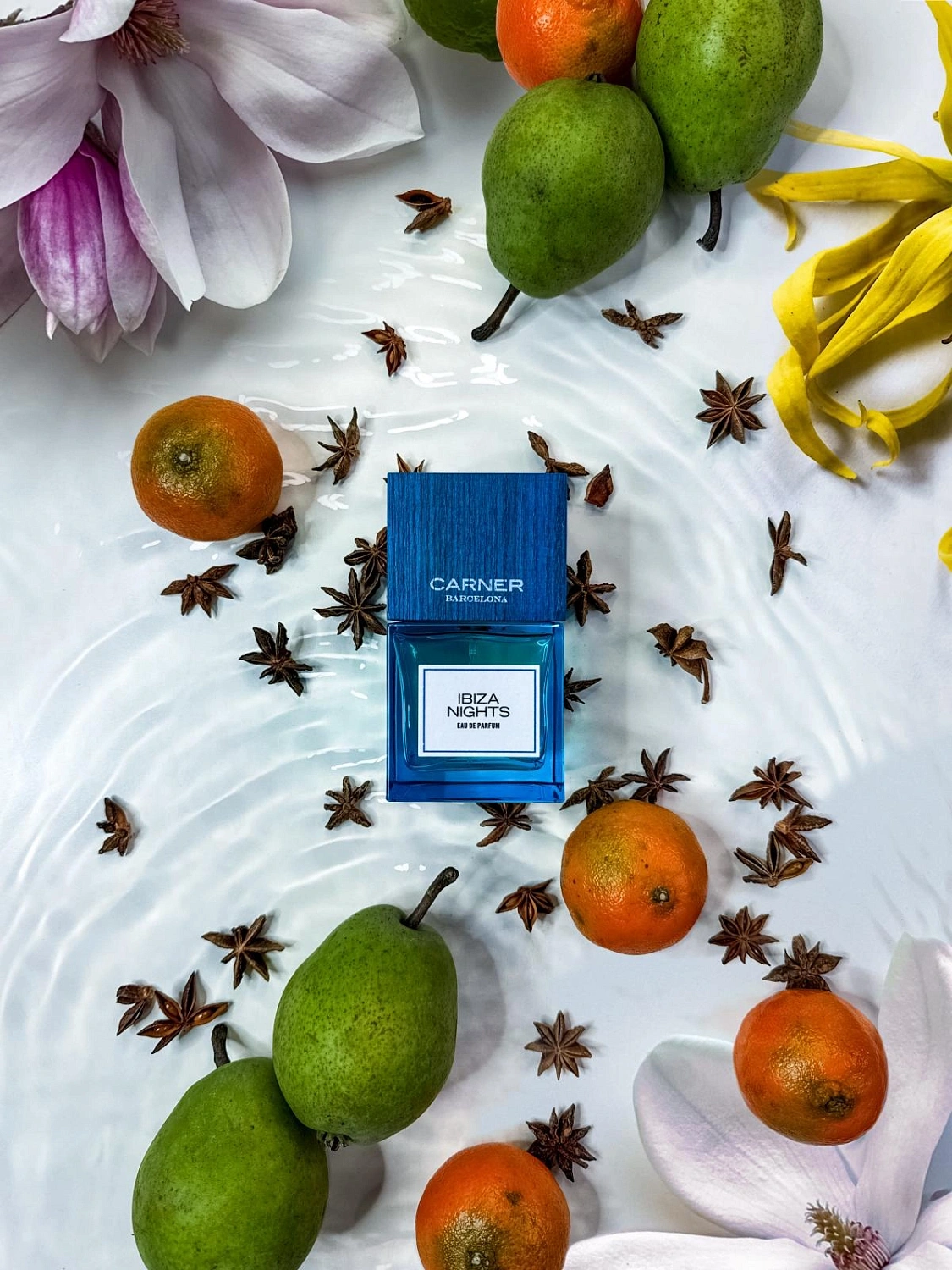 Carner Barcelona Ibiza Nights