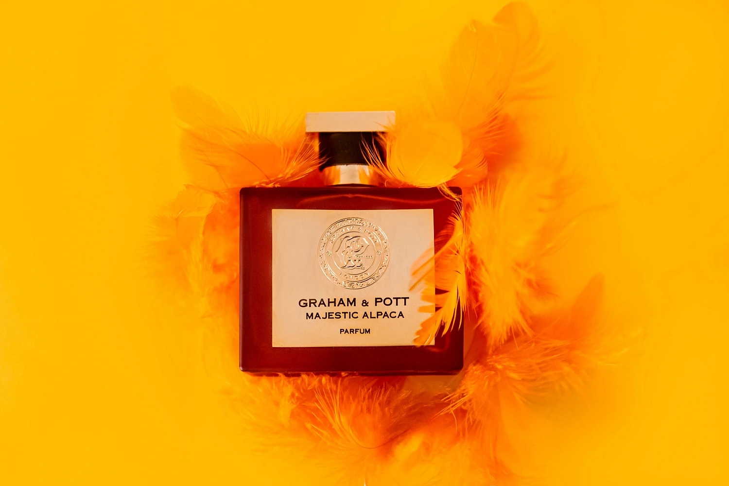 Graham & Pott Majestic Alpaca