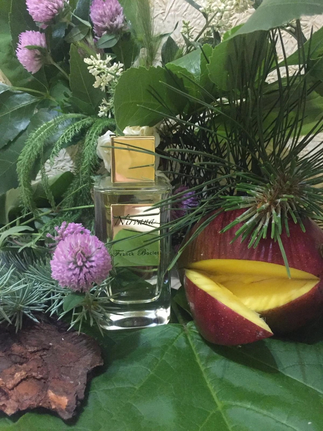 Franck Boclet Nirvana