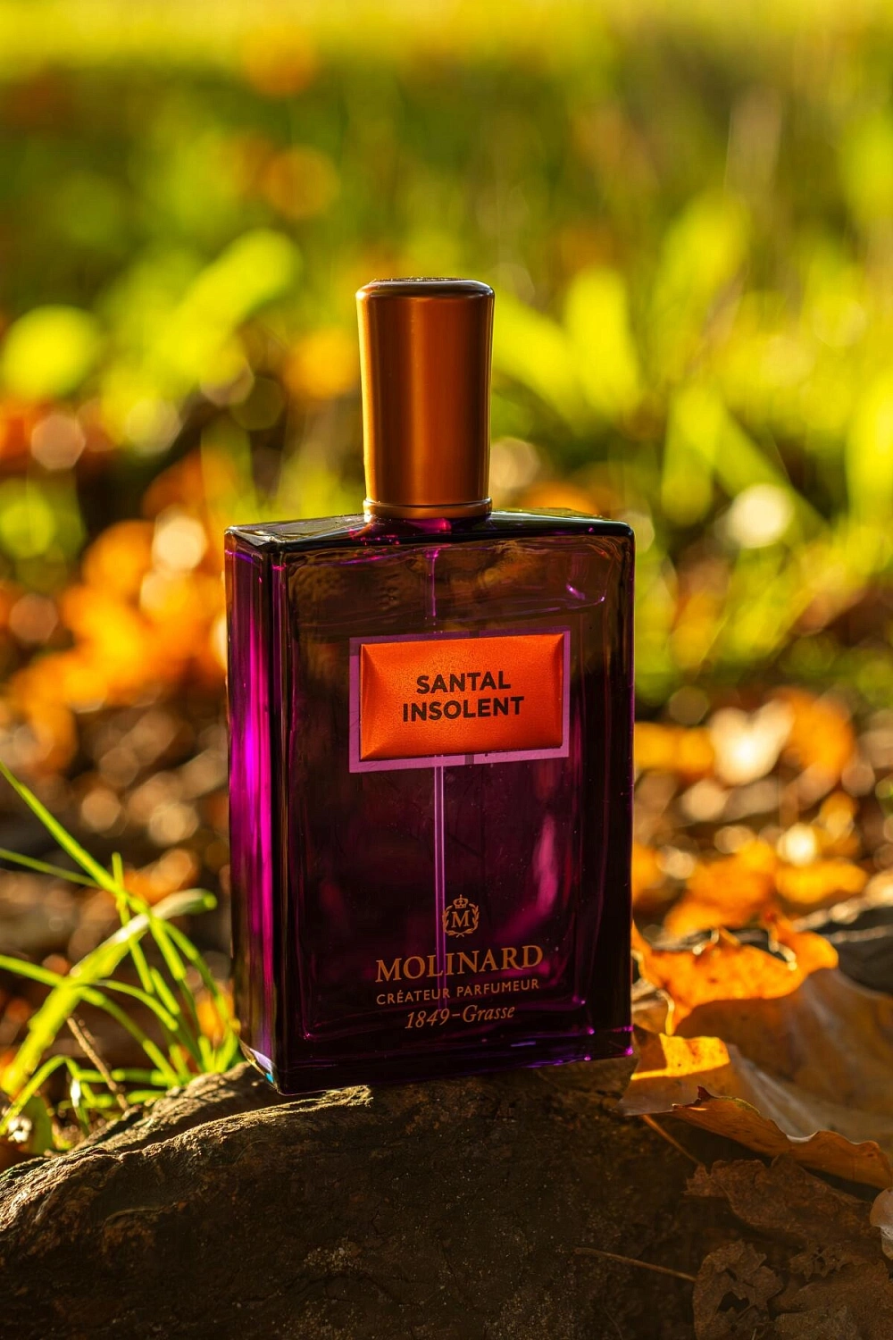 Molinard Santal Insolent