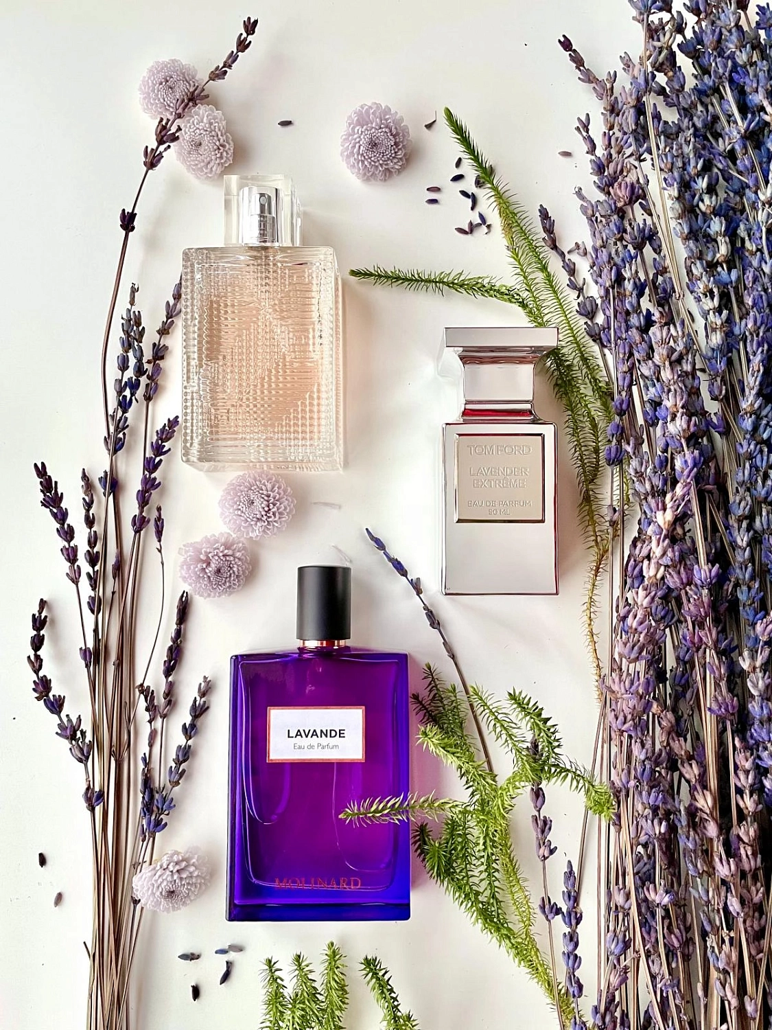 Burberry Brit Rhythm for Her Floral Burberry Brit Rhythm for Her Floral