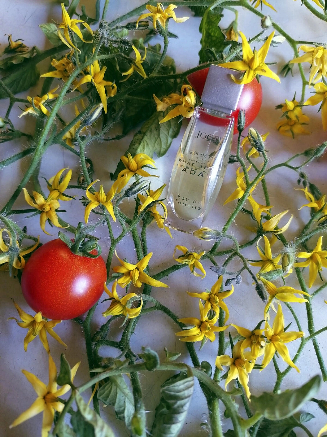 JOOP! What about Adam