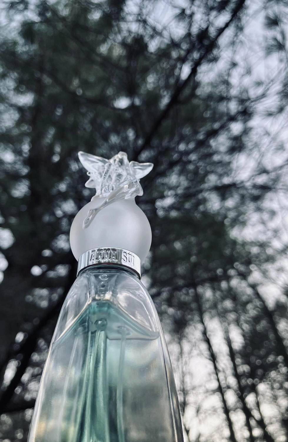 ANNA SUI Secret Wish