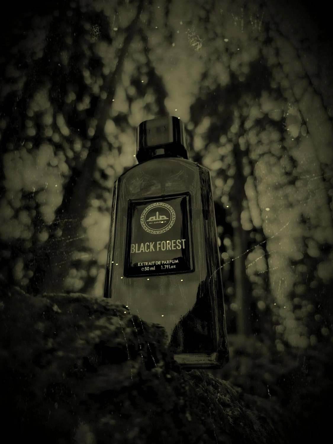 Al Ambra Black Forest