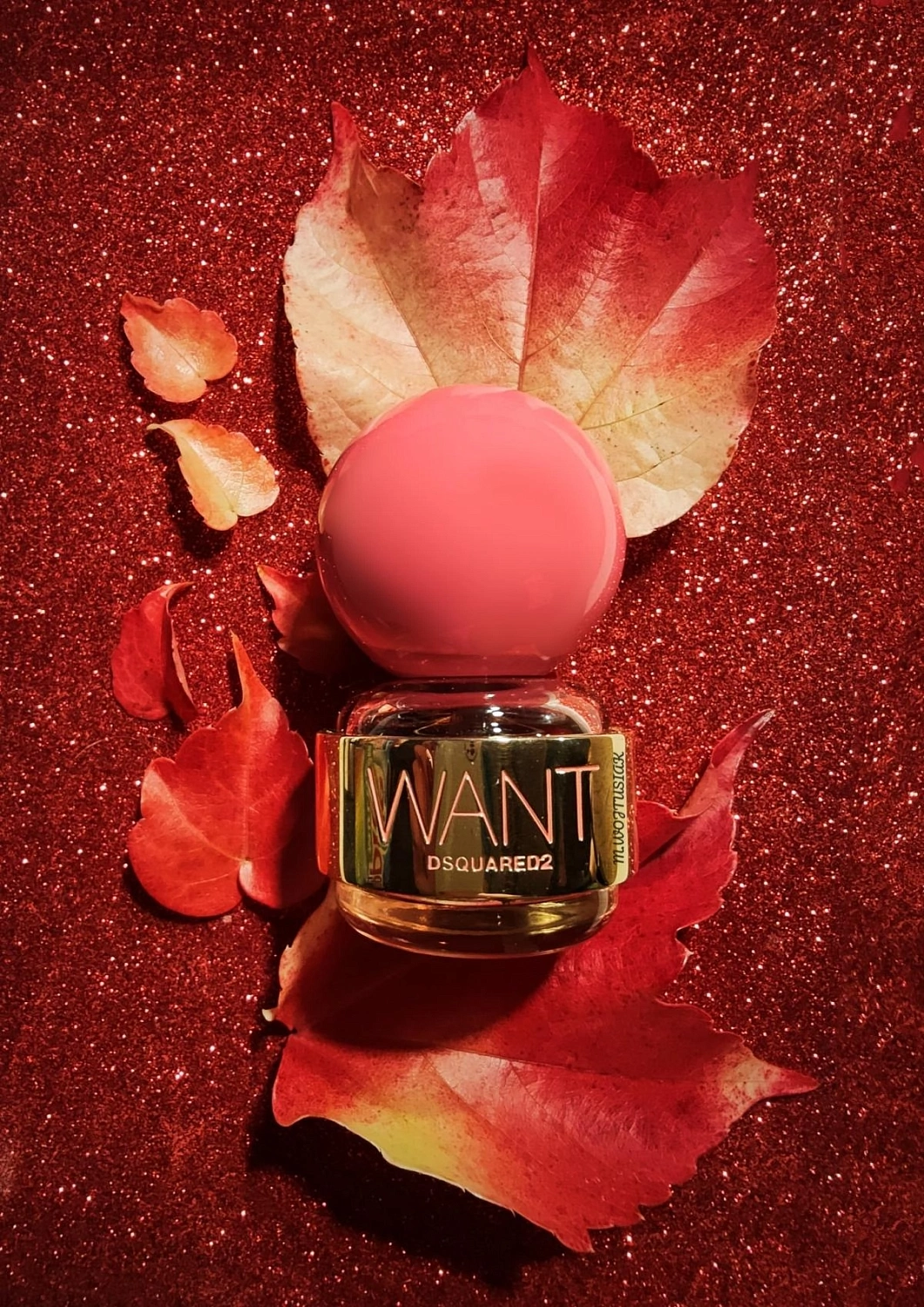 DSQUARED2 Want Pink Ginger