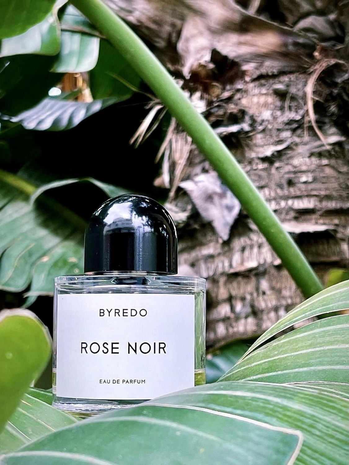 BYREDO Rose Noir