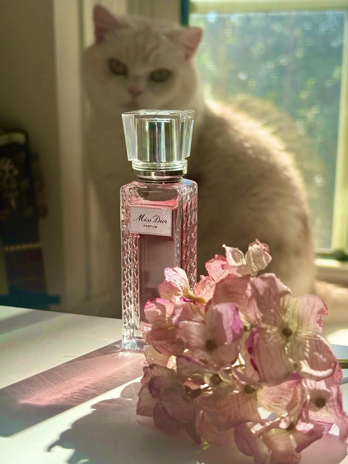 Christian Dior Miss Dior Parfum (2024)
