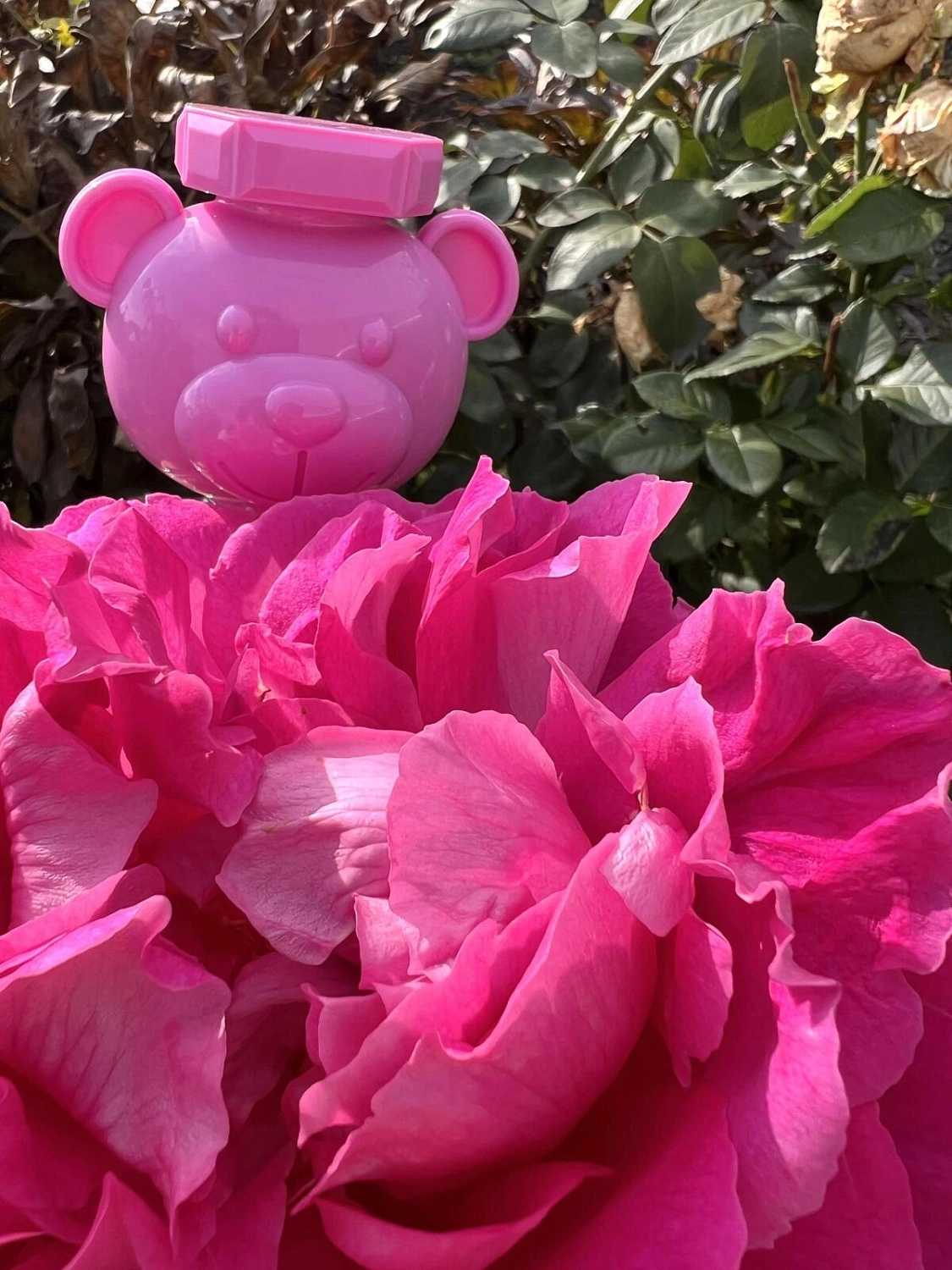 MOSCHINO Toy 2 Bubble Gum