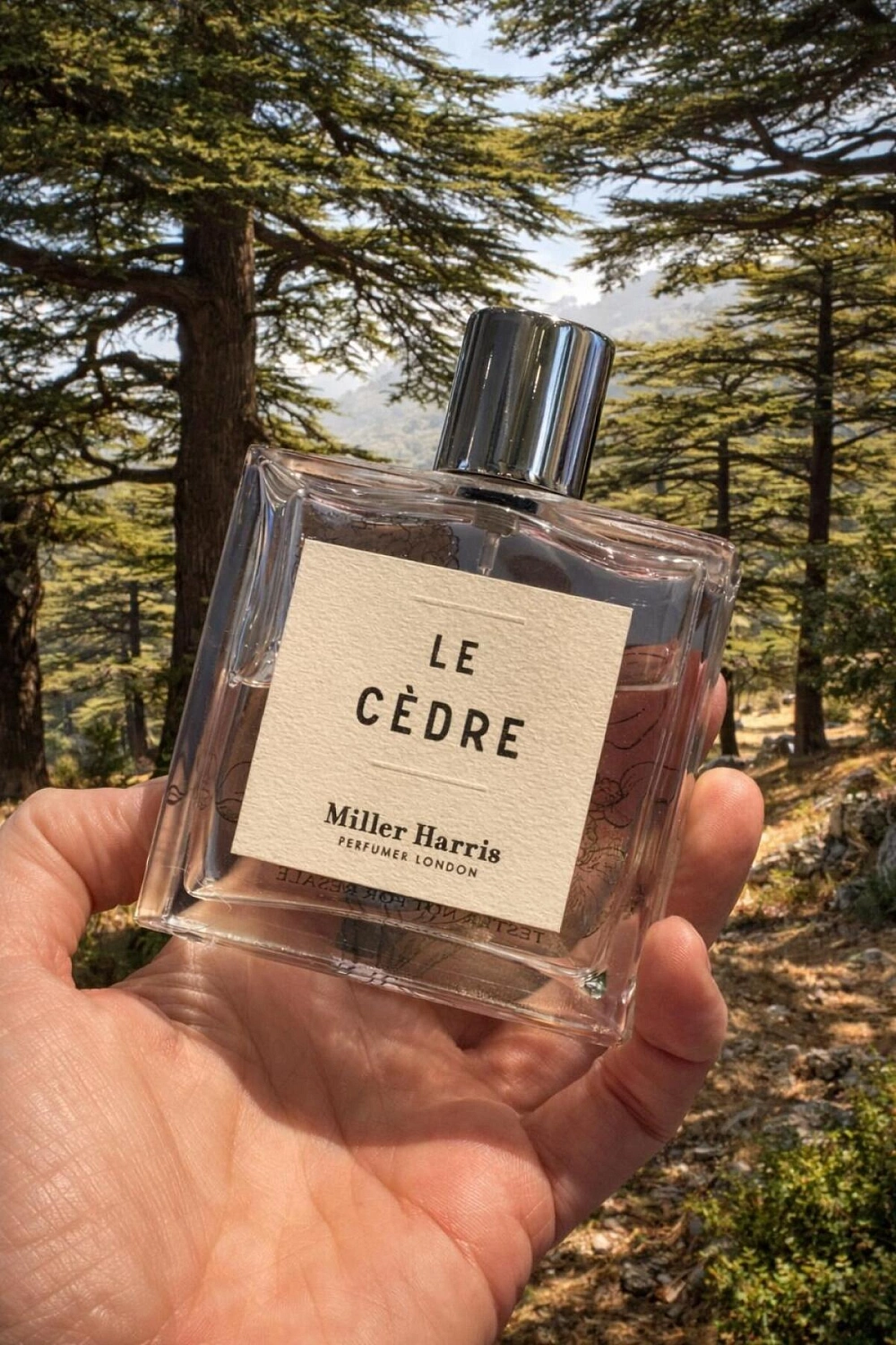 Miller Harris Le Cedre