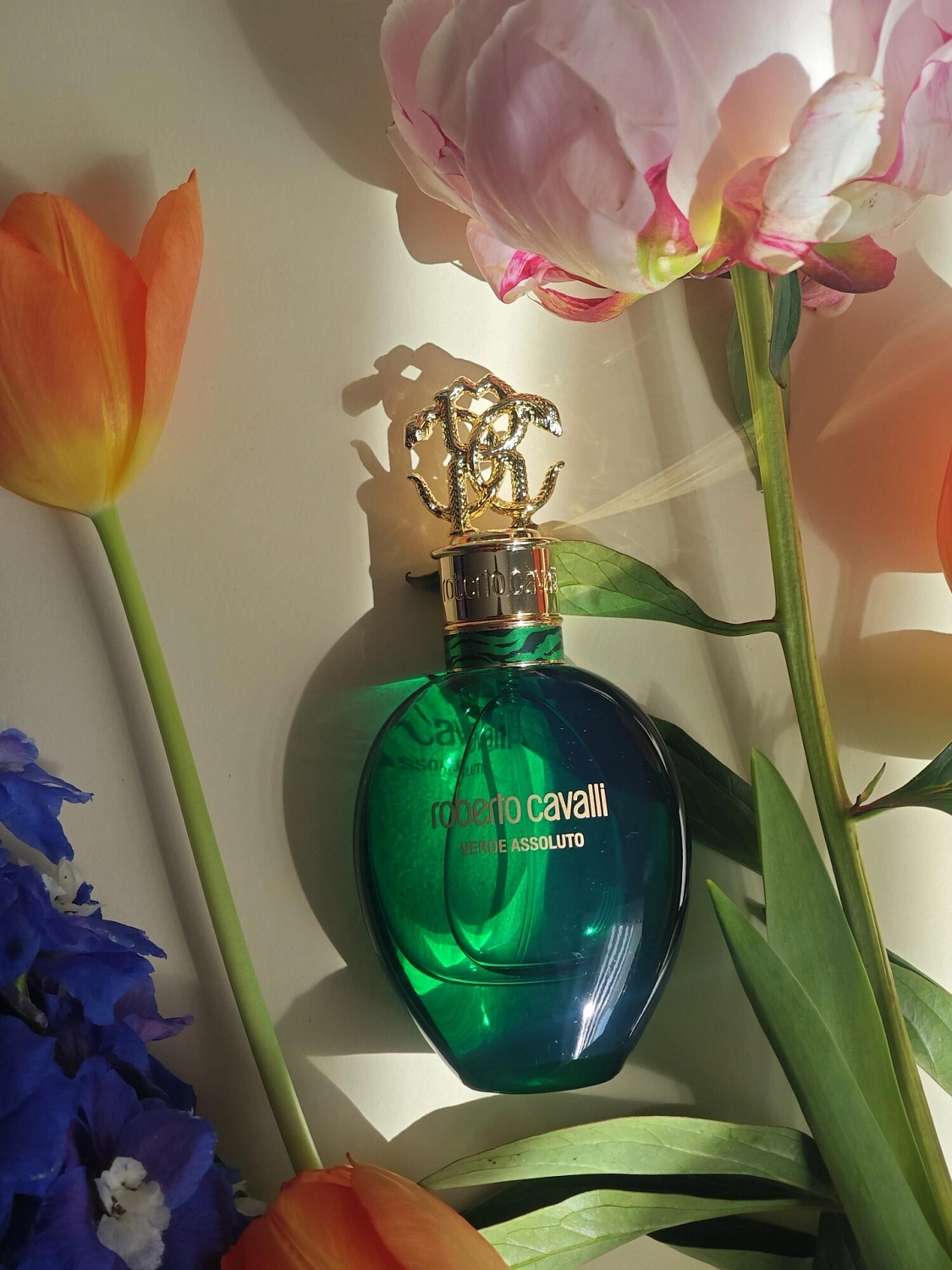 Roberto Cavalli Signature Verde Assoluto