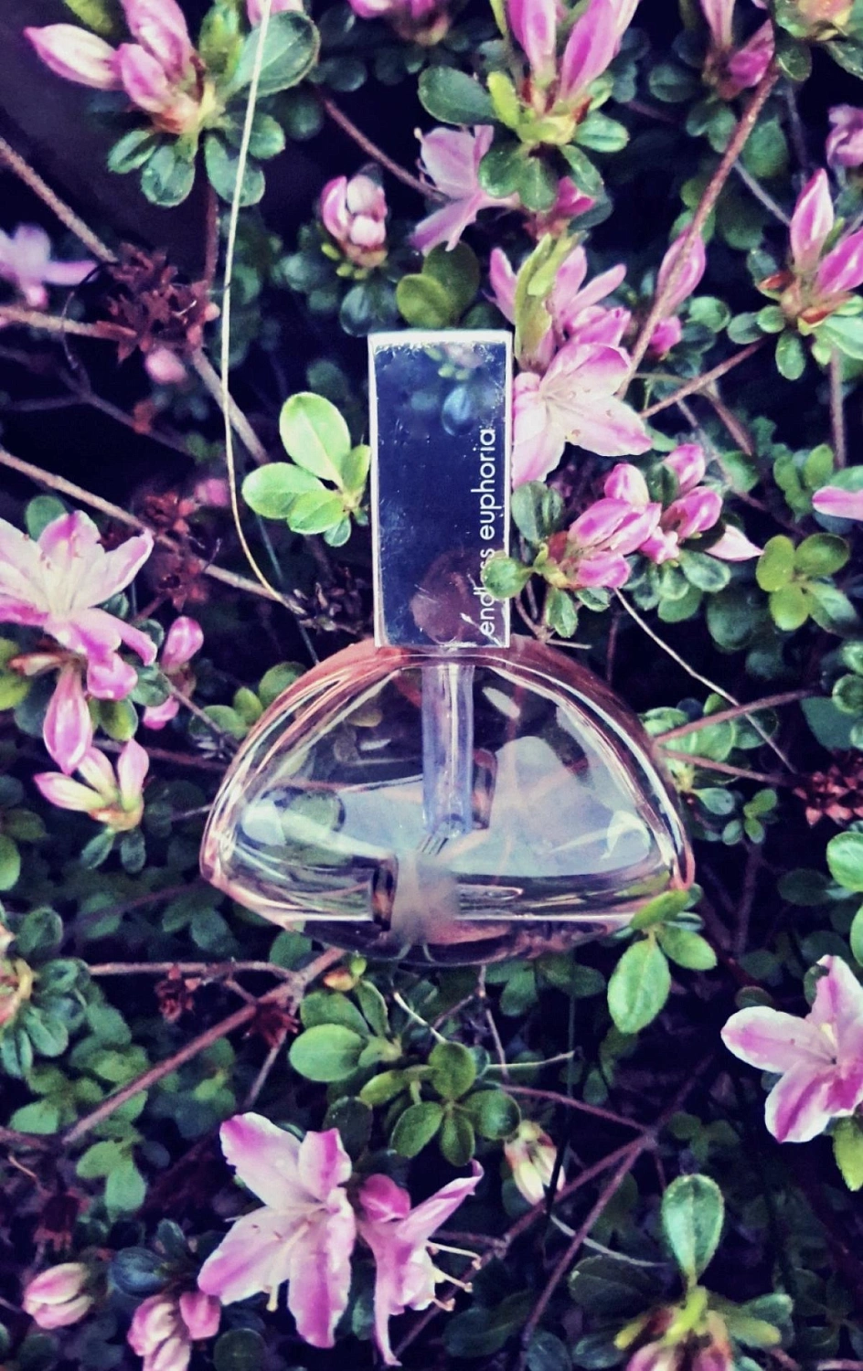 CALVIN KLEIN Endless Euphoria