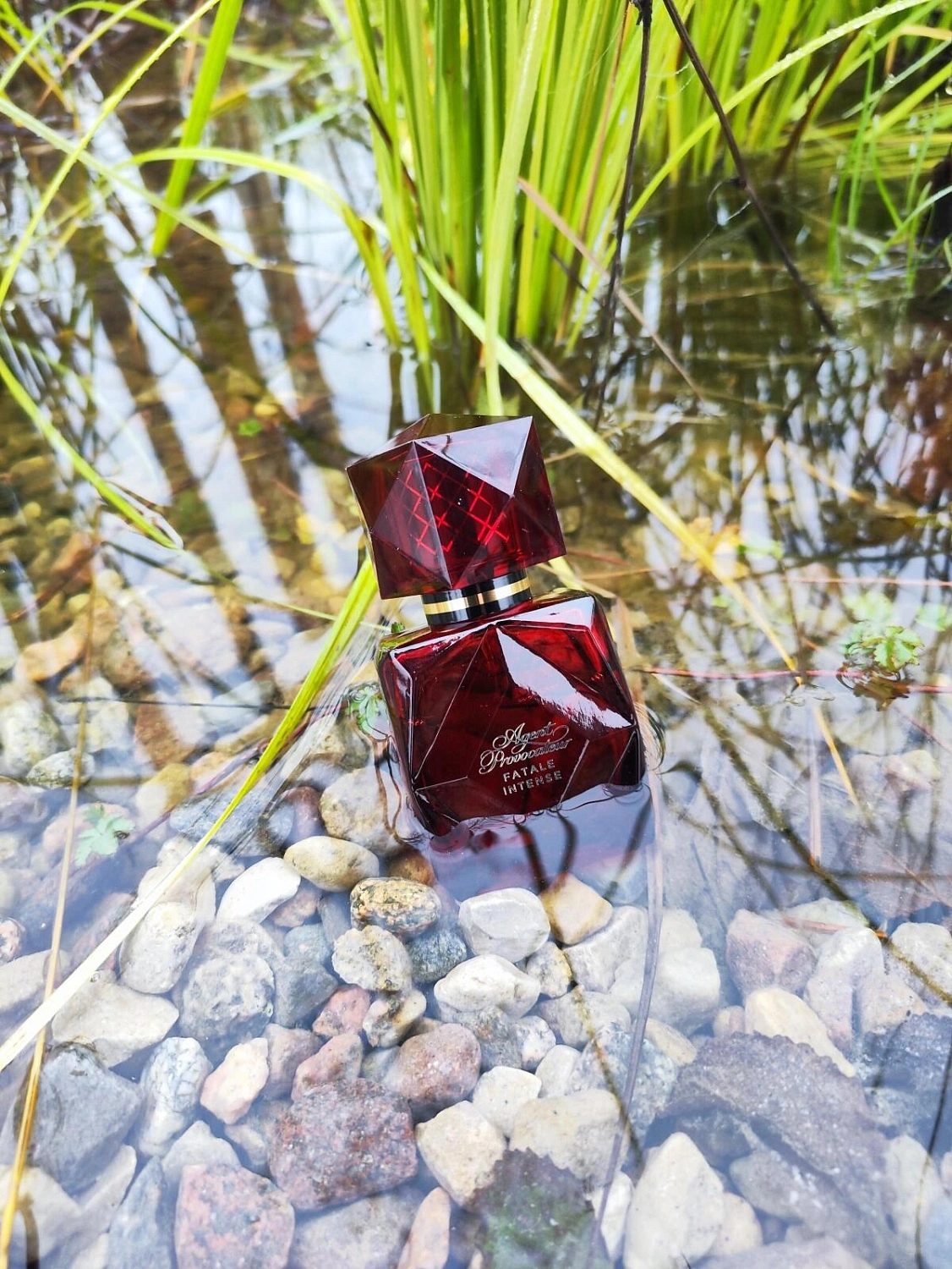 Agent Provocateur Fatale Intense