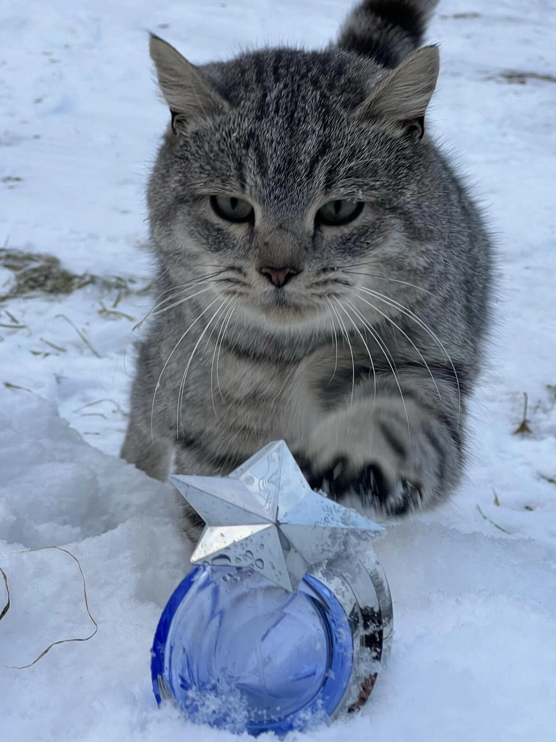 MUGLER Angel Les Cometes