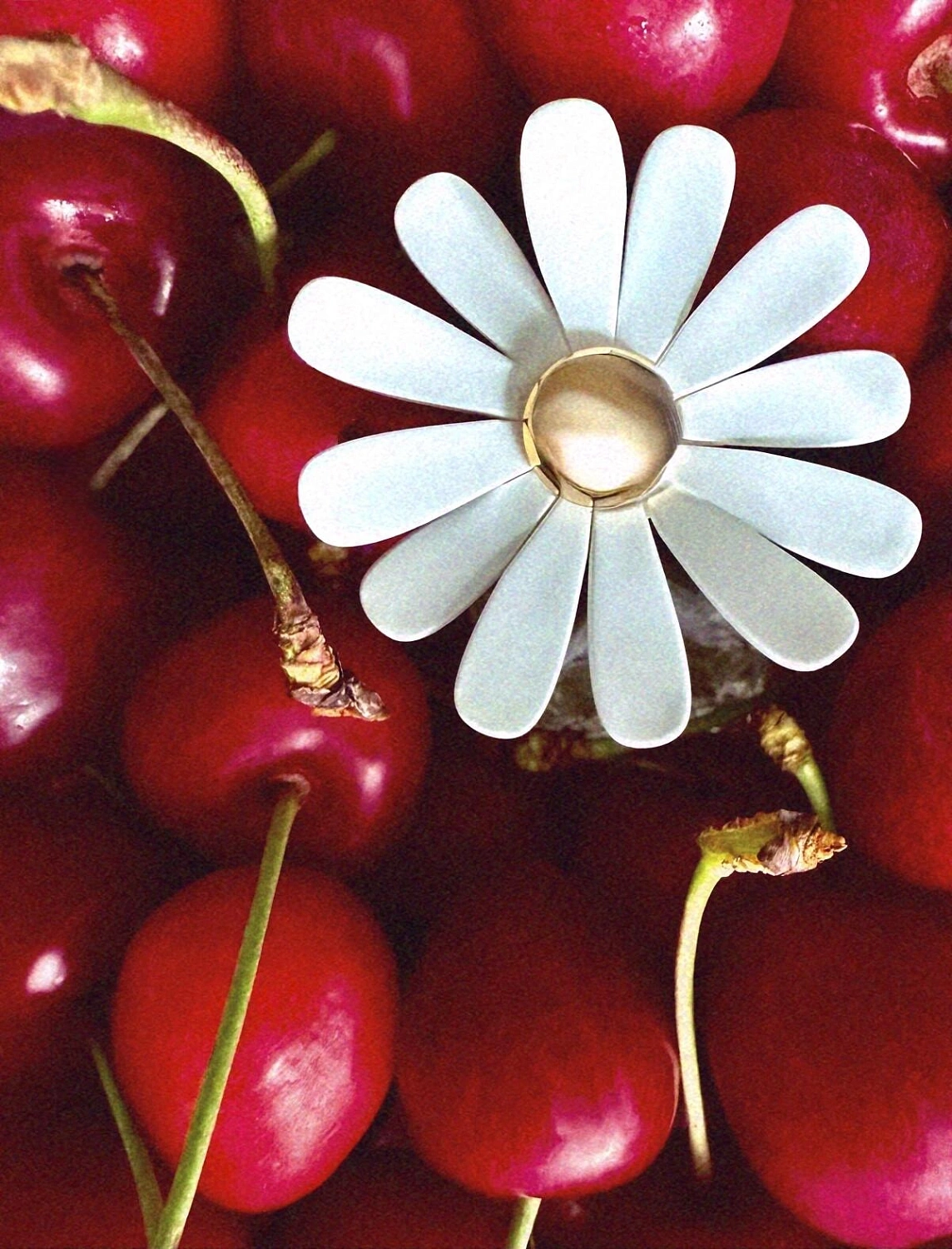 MARC JACOBS Daisy Wild