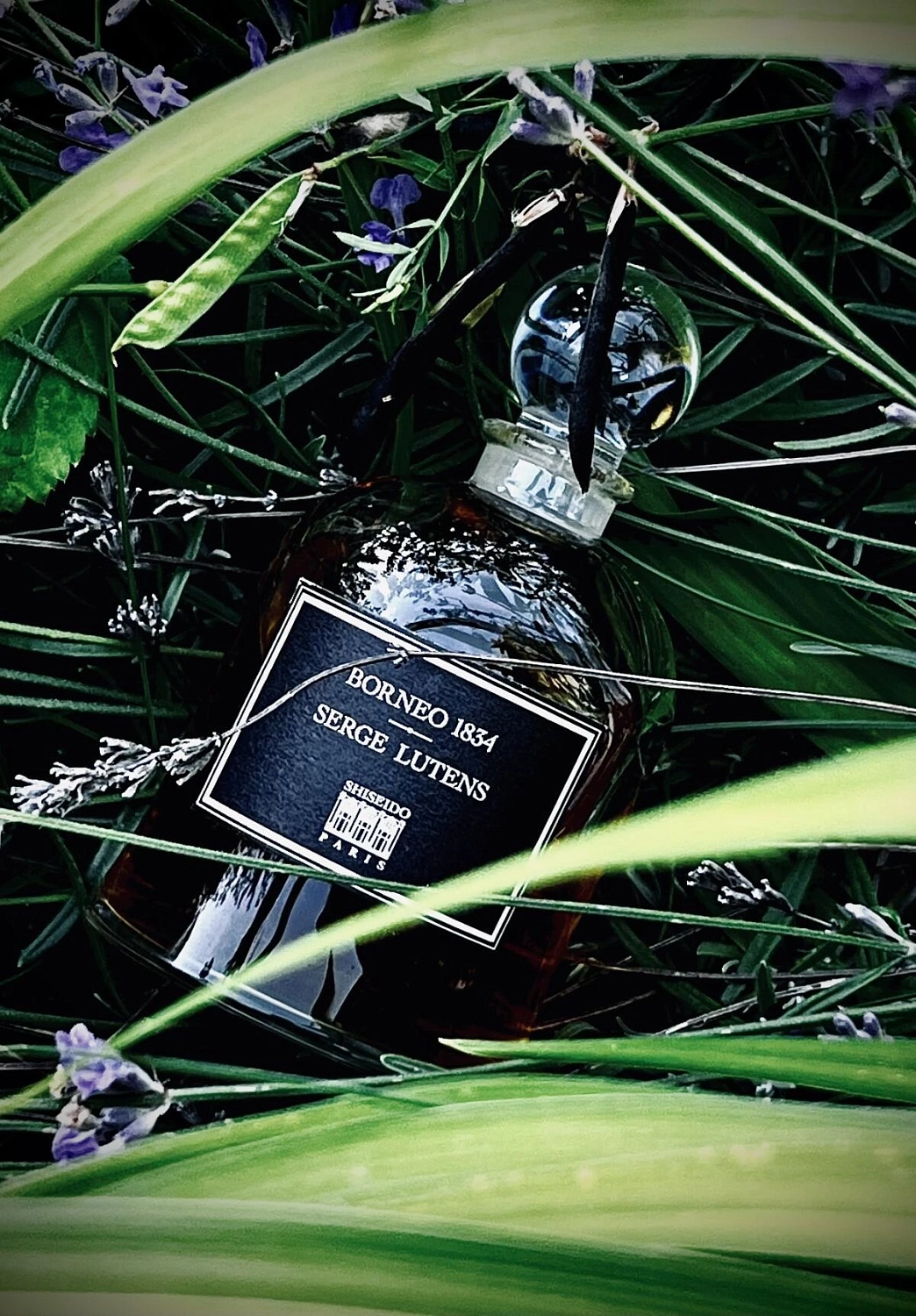 Serge Lutens Borneo 1834 Serge Lutens Borneo 1834